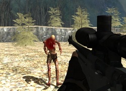 Флеш игра - Zombie Strike